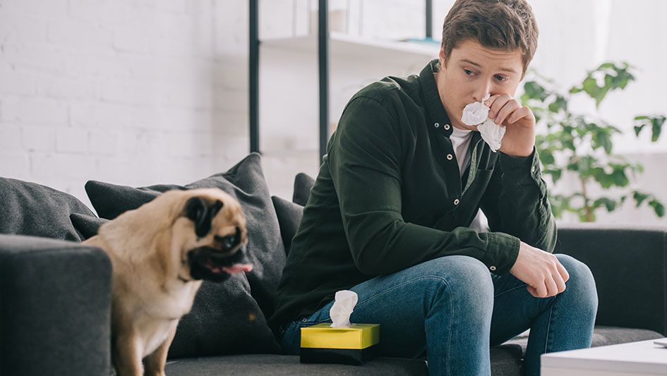 Installing an air purifier is one of the top approaches to improve your home’s indoor air quality. Learn more about the three smartest options. 